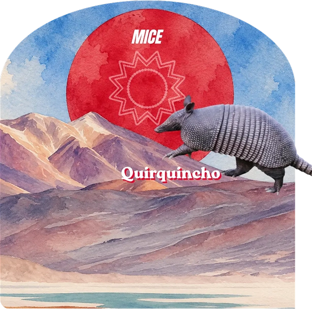 MICE - Quirquincho - Premios Fedetur 2026